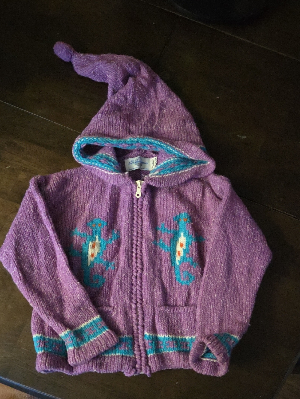 Kids Purple Hooded Zip Sweater with Turquoise Gecko Detail